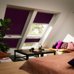 GDL Cabrio Fenster Velux